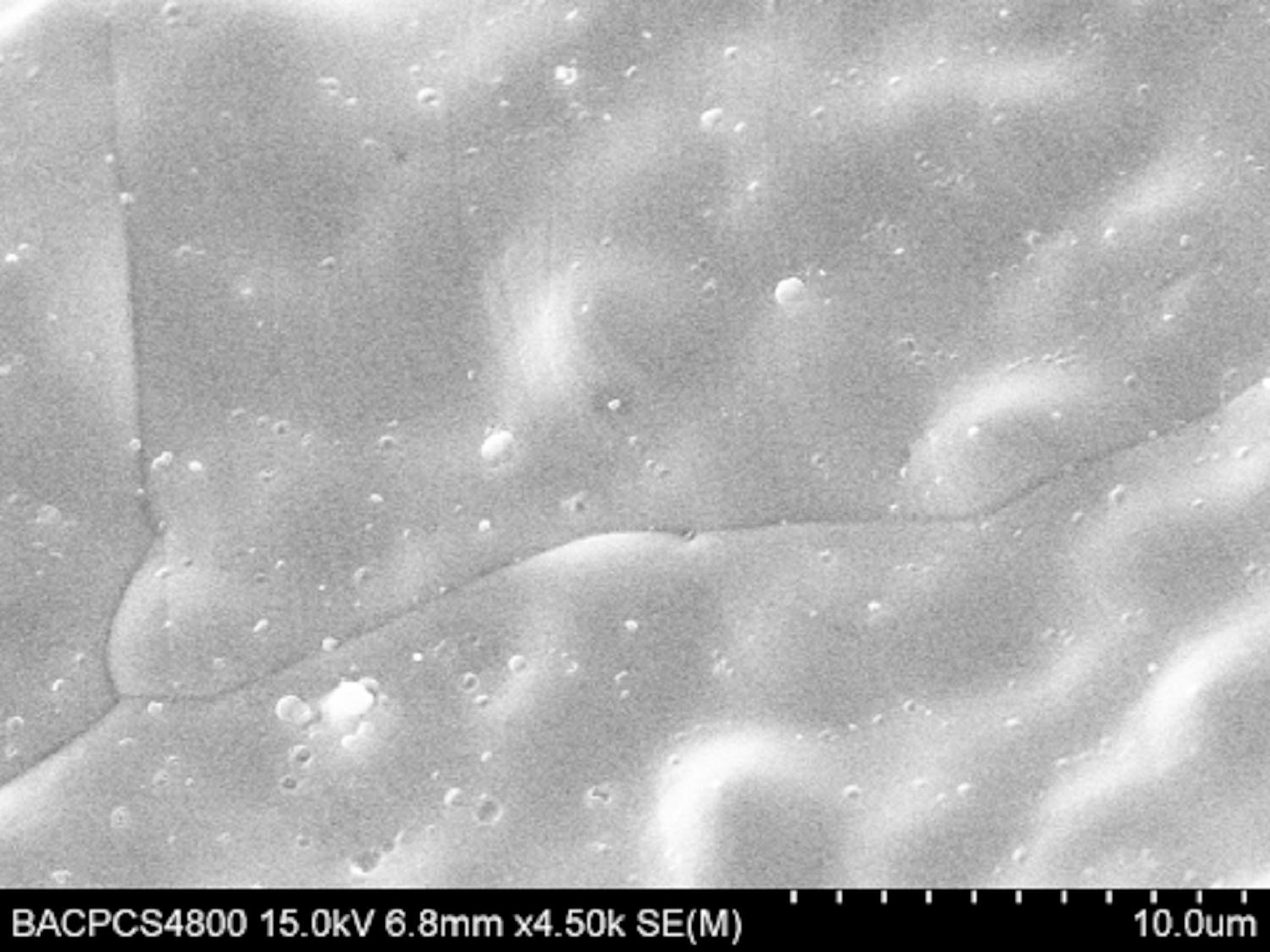 Preparation method of nitrogen-doped titanium dioxide photochemical catalyst loaded with foam metal carrier