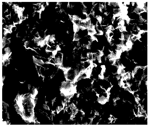 Graphene and preparation method thereof