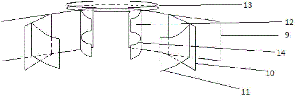 Fixing device for mouse caudal intravenous injection