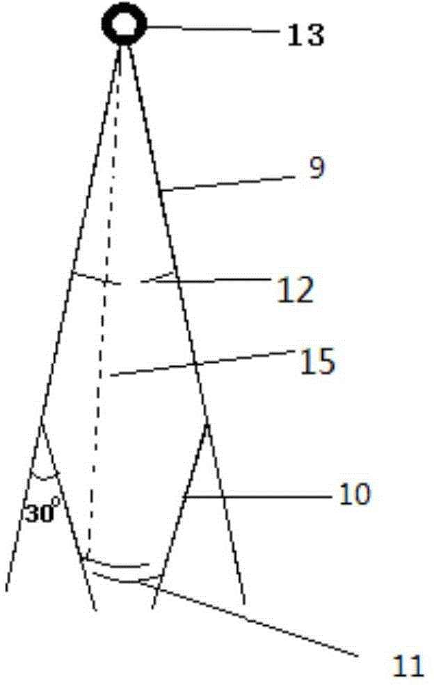 Fixing device for mouse caudal intravenous injection