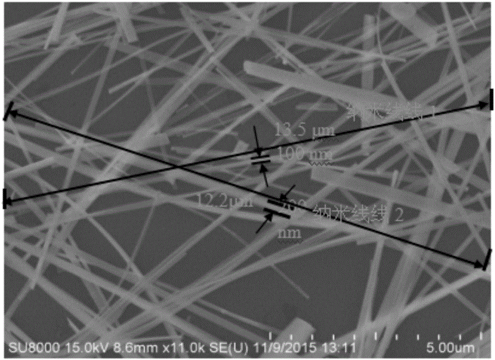 Silver tungstate nanowire and preparation method thereof