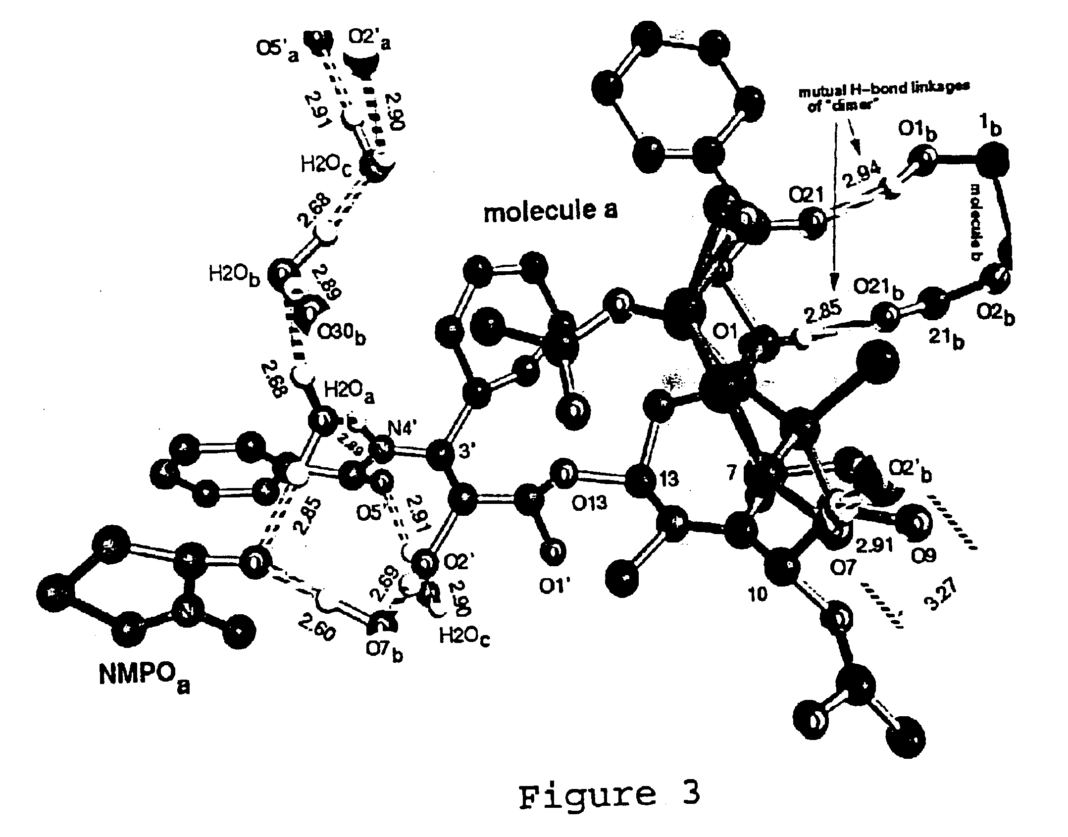 Paclitaxel solvates