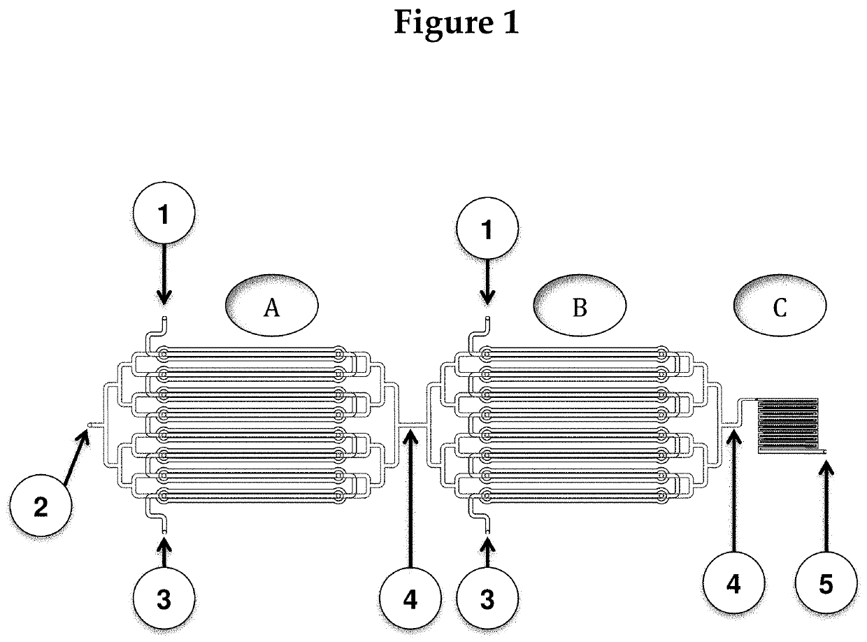 A novel rapid individualized whole blood chip for antibiotic, drug, and food allergies