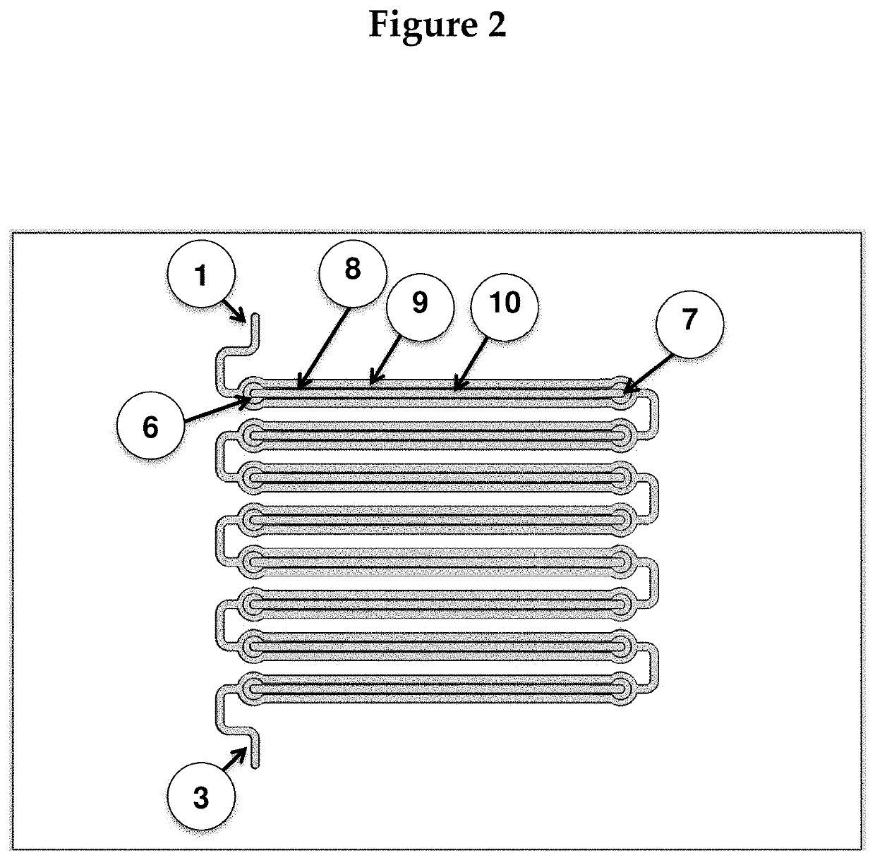 A novel rapid individualized whole blood chip for antibiotic, drug, and food allergies