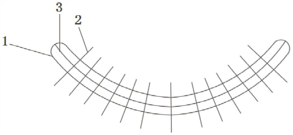 Automatic dental boundary feature identification method