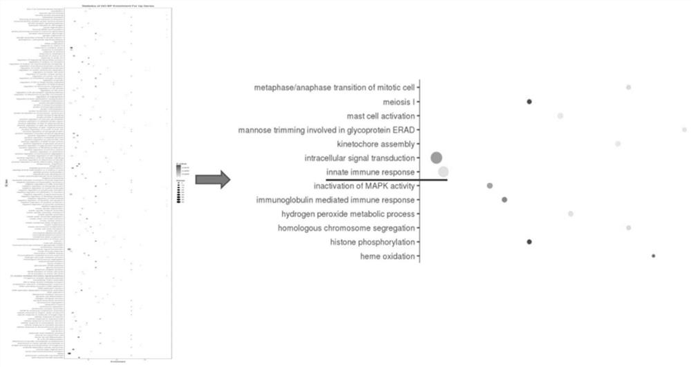 Application of inhibitor of nlrp3 inflammasome in preparation of medicine for treating pituitary adenoma and medicine for treating pituitary adenoma