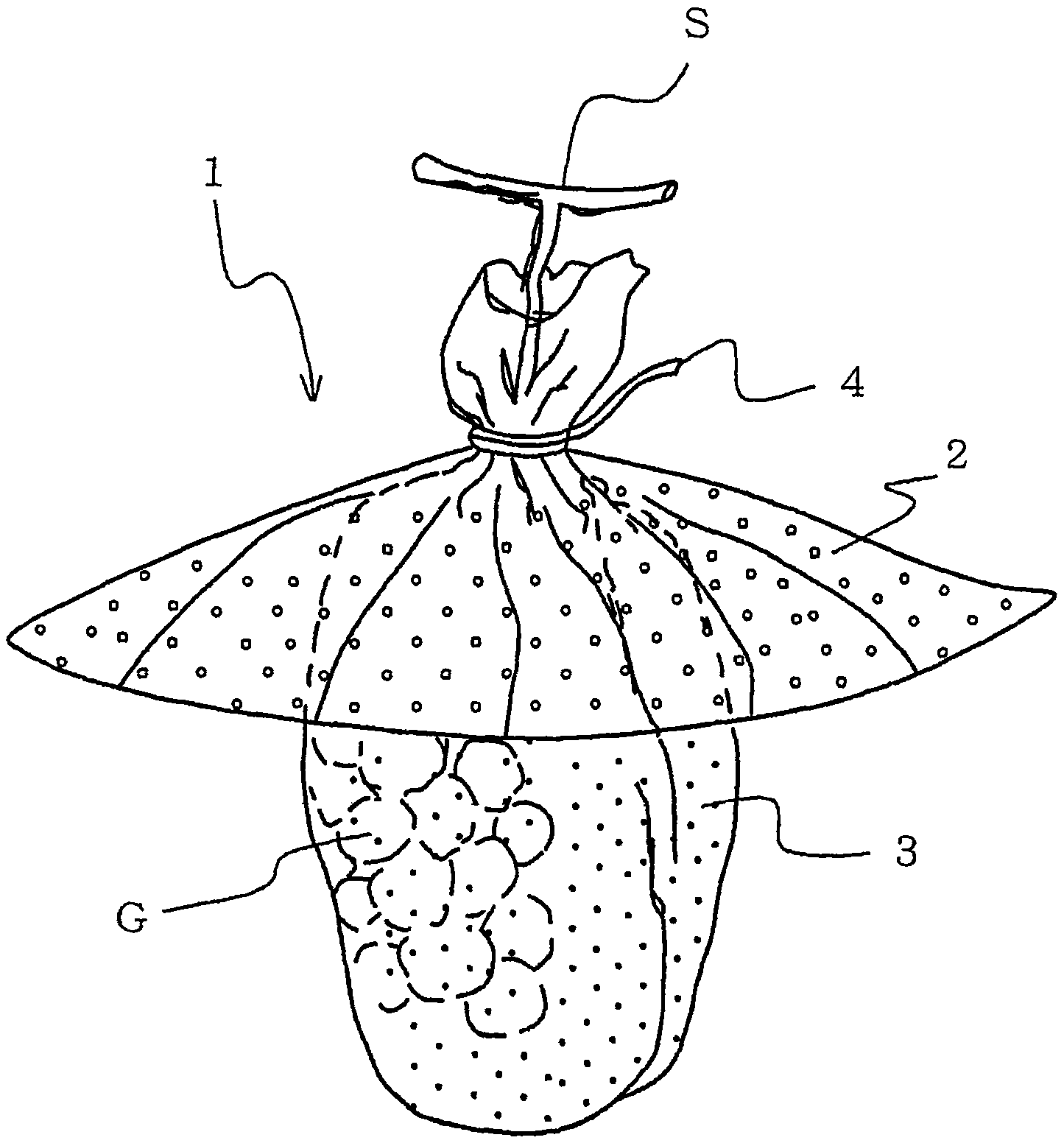 Fruit protection bag with light scattering part as well as manufacturing method and use method thereof