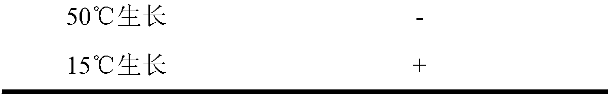 Lysinibacillus fusiformis with methylamine degradation capability and application thereof