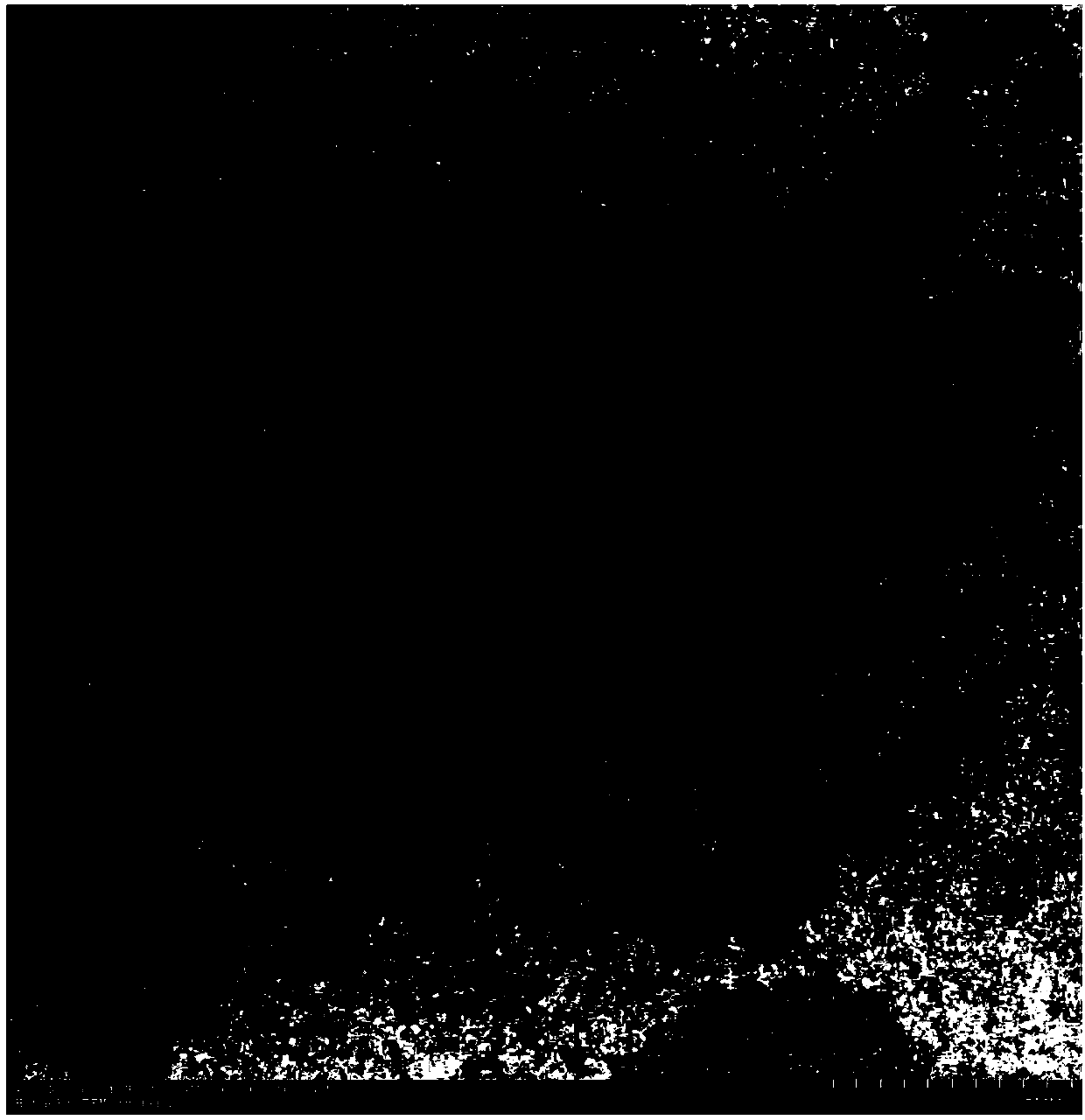 Lysinibacillus fusiformis with methylamine degradation capability and application thereof