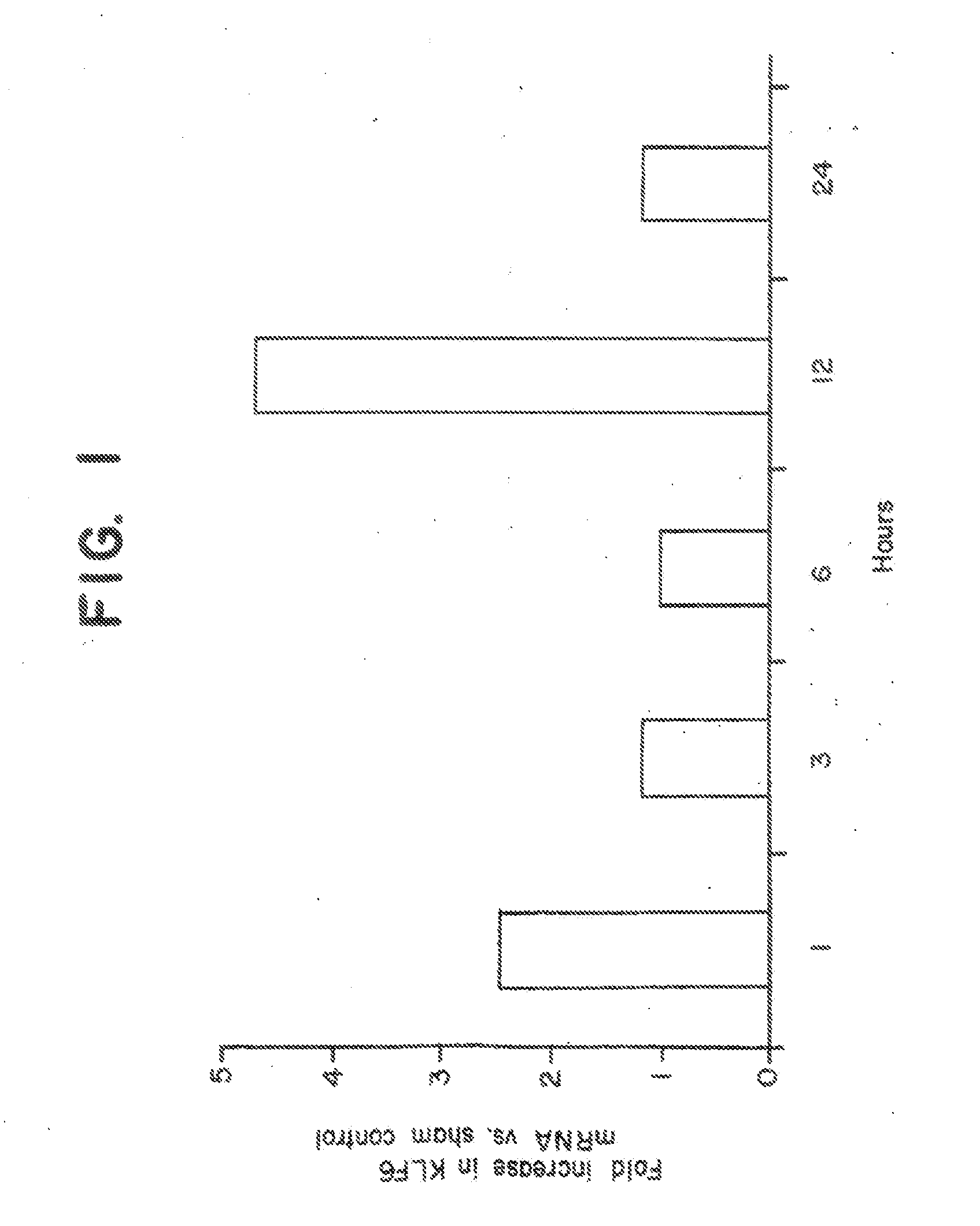 Kruppel-like factor 6 (KLF6), a tumor suppressor protein, and diagnostics, therapeutics, and screening based on this protein