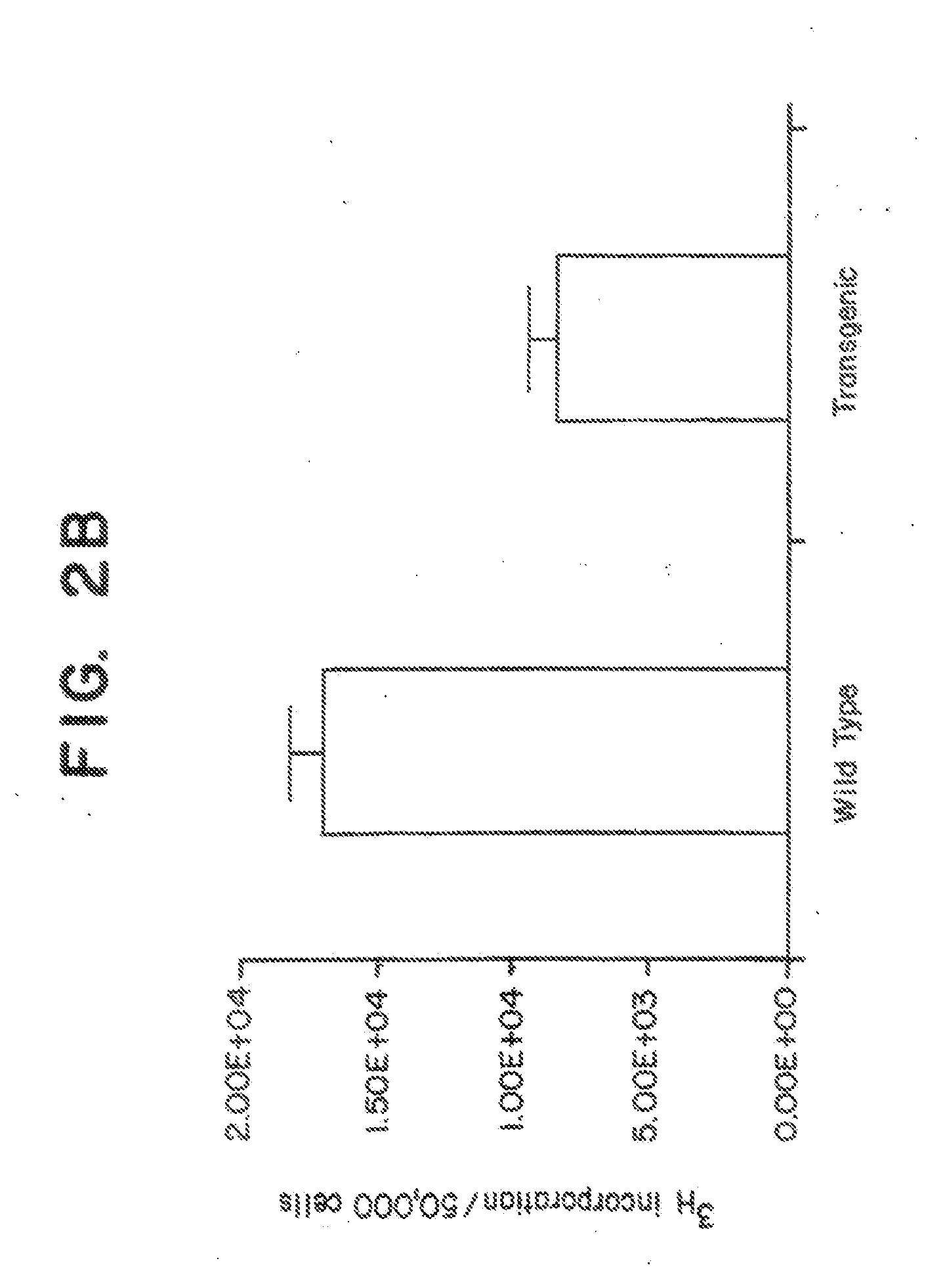 Kruppel-like factor 6 (KLF6), a tumor suppressor protein, and diagnostics, therapeutics, and screening based on this protein