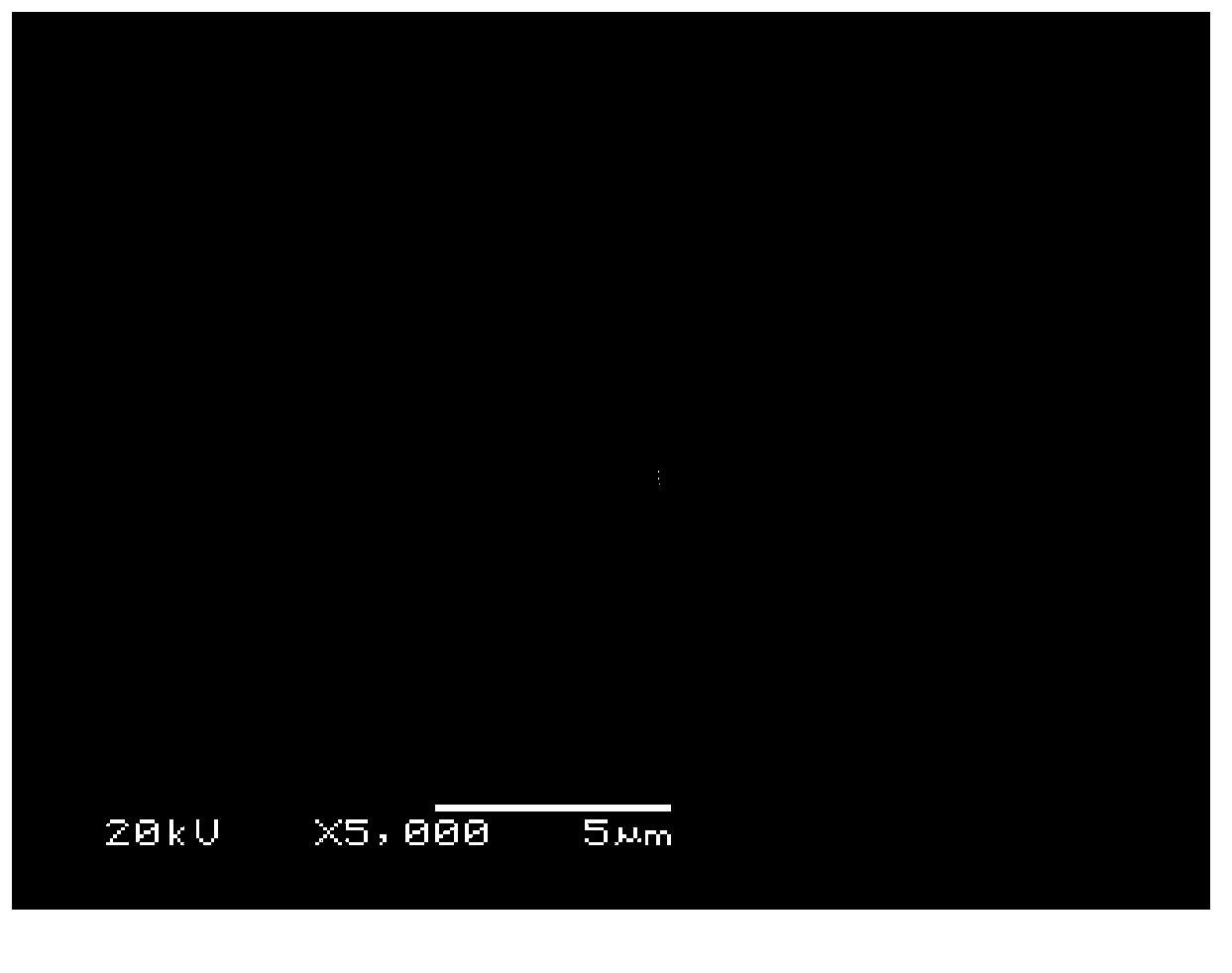 Protein surface molecular imprinting material based on RAFT (Reversible Addition-Fragmentation Chain Transfer) strategy as well as preparation method and application thereof