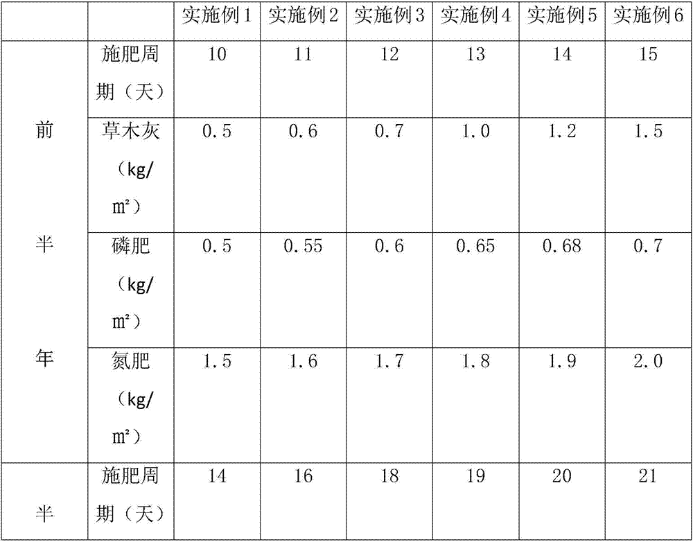 Planting method of green tea