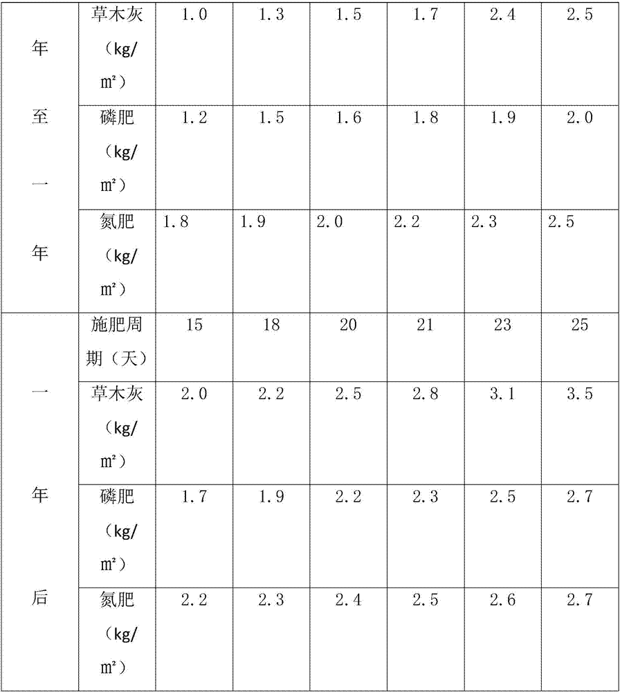 Planting method of green tea