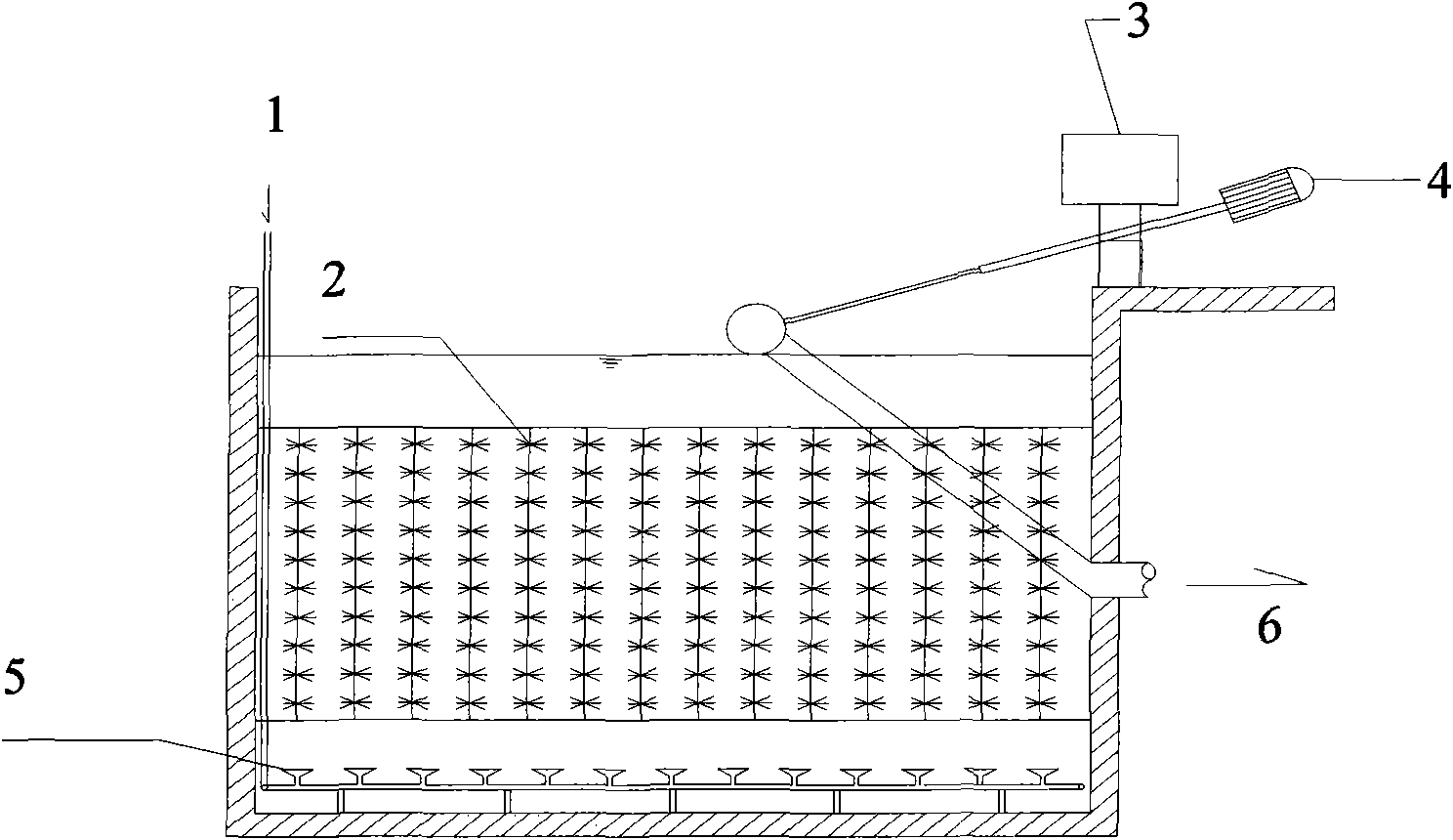 Sequencing batch biofilm reactor for piggery wastewater