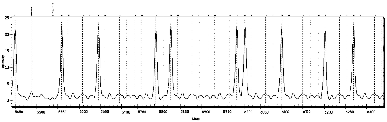 Detection method and detection kit for polymorphism of CYP2C9 and VKORC1 genes