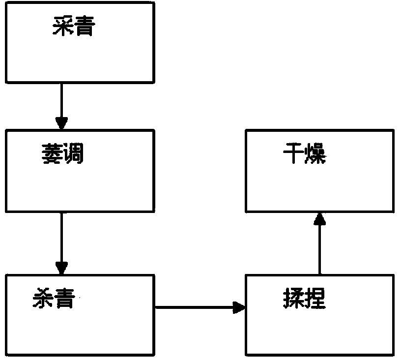 Tea primary processing method