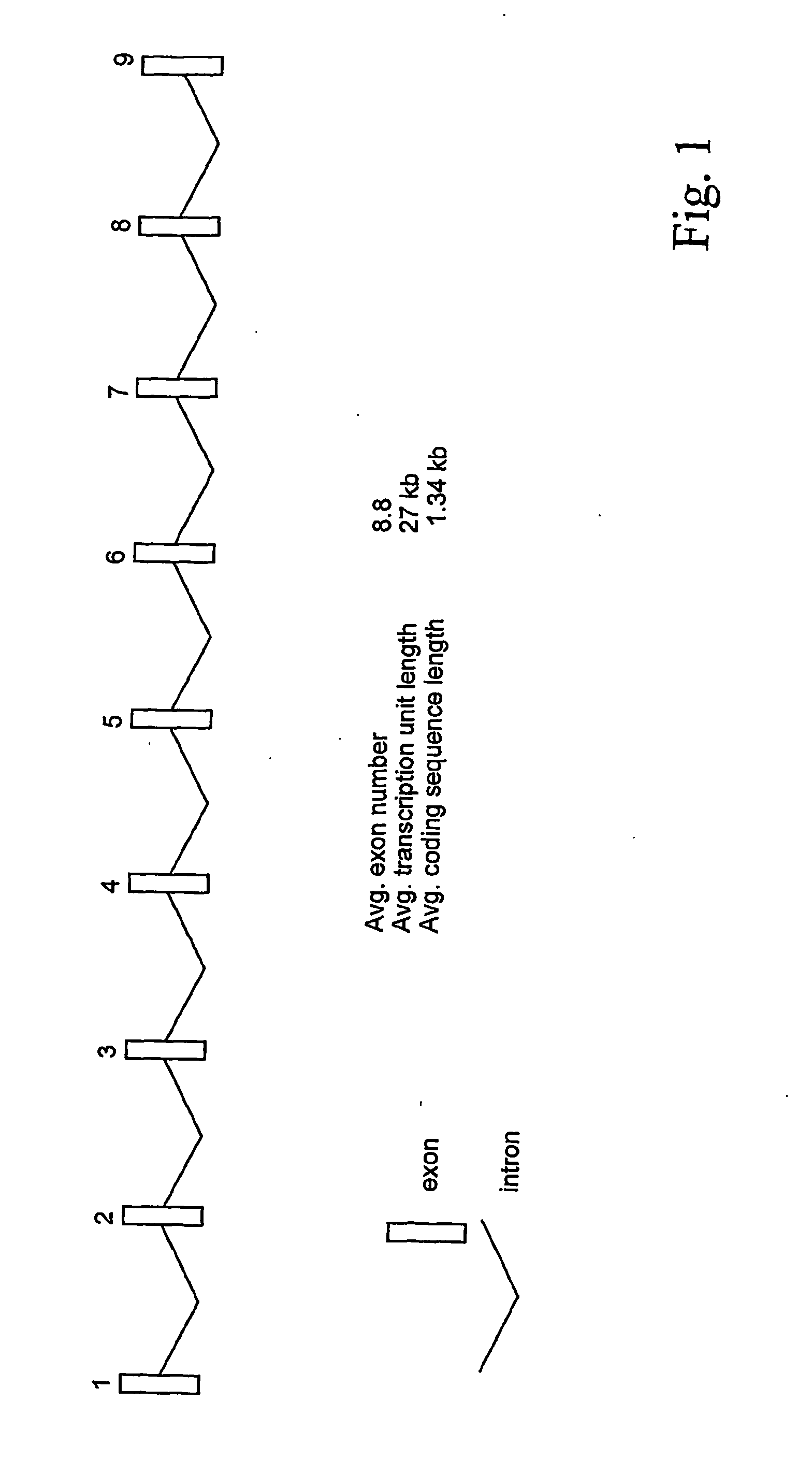 Novel method for finding mutations caused by the insertion of repeated dnas