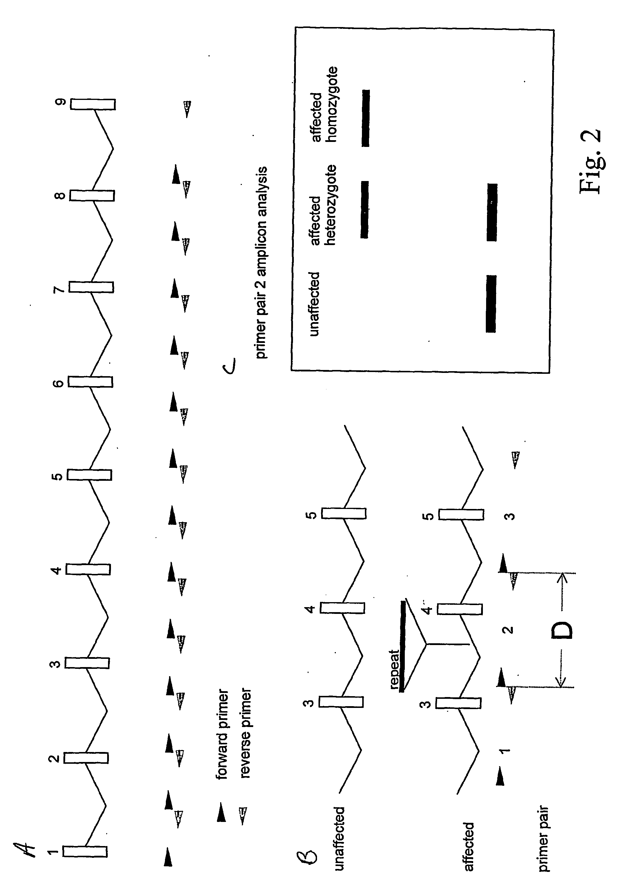 Novel method for finding mutations caused by the insertion of repeated dnas