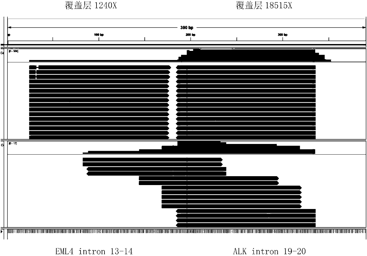 DNA based fusion gene quantitative sequencing database foundation and detection method and applications thereof