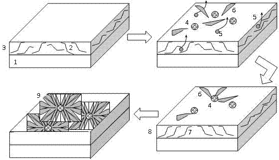 A method for regulating the growth of spherical rubrene crystal thin films by co-solvent of polymer-induced layer