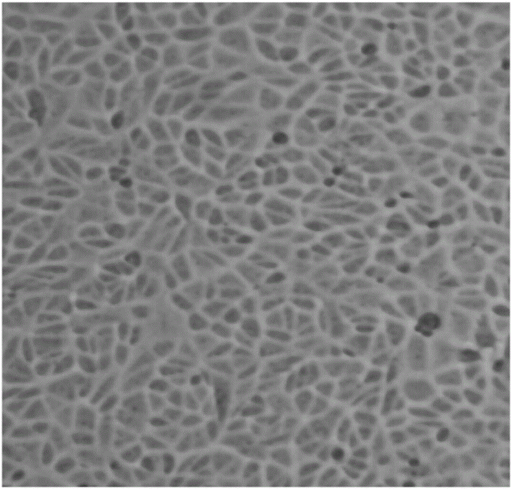 Needle milling production process of powdery cell culture medium