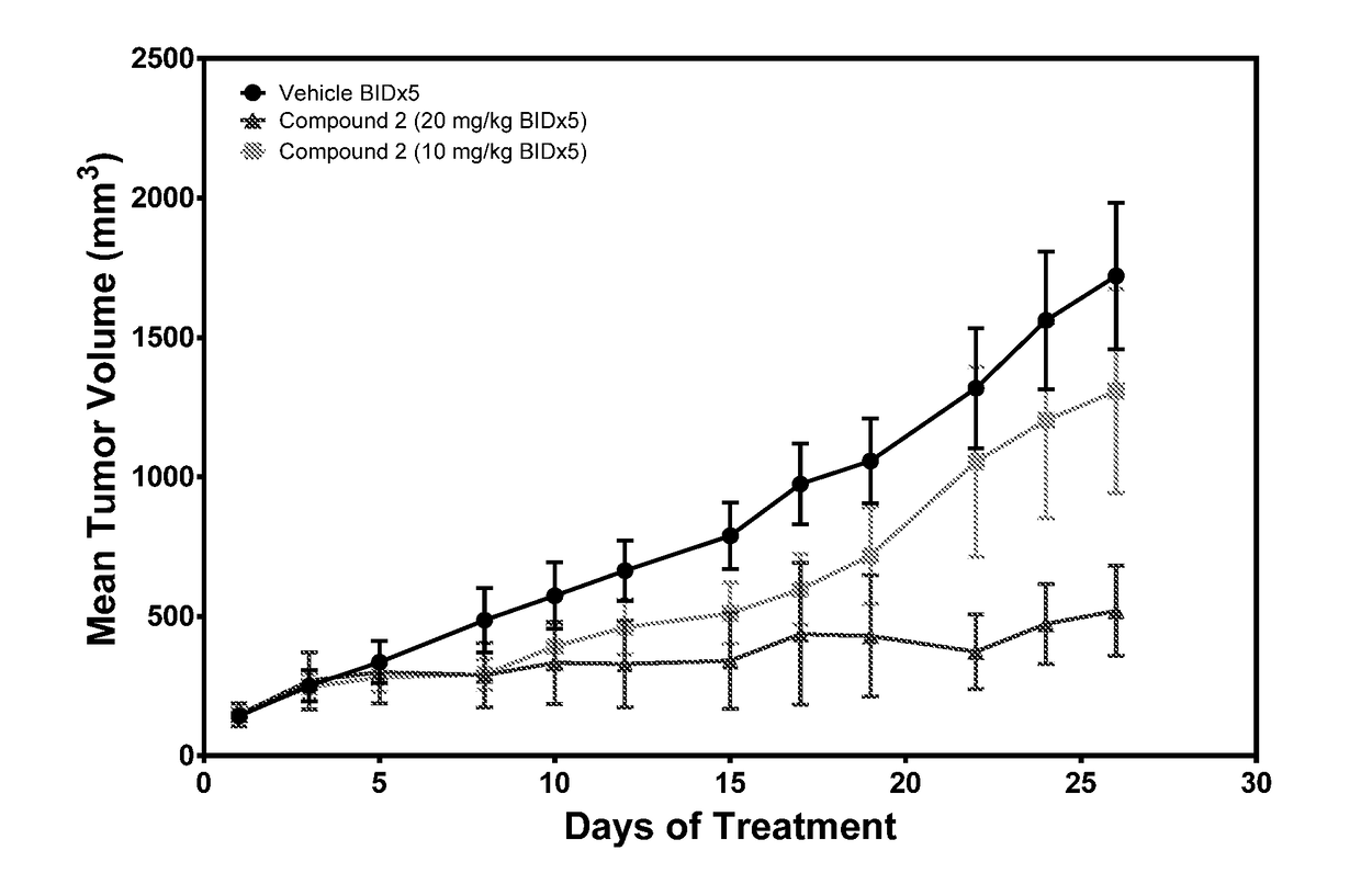 (s,e)-3-(6-aminopyridin-3-yl)-n-((5-(4-(3-fluoro-3-methylpyrrolidine-1-carbonyl)phenyl)-7-(4-fluorophenyl)benzofuran-2-yl)methyl)acrylamide for the treatment of cancer