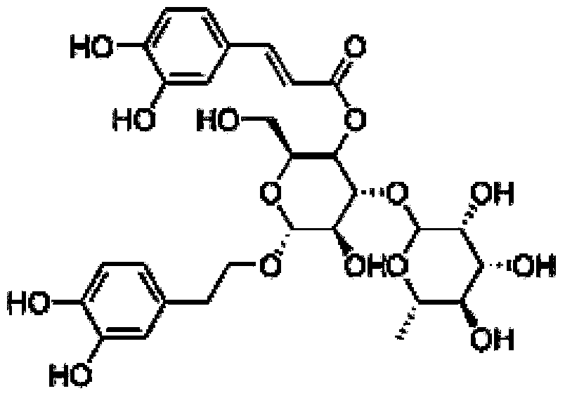 Method for separating and purifying verbascoside from desertliving cistanche