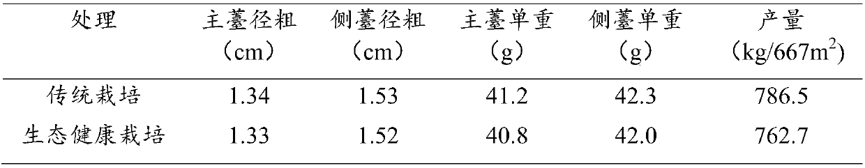 Ecological-healthy cultivation method for purple flowering stalks