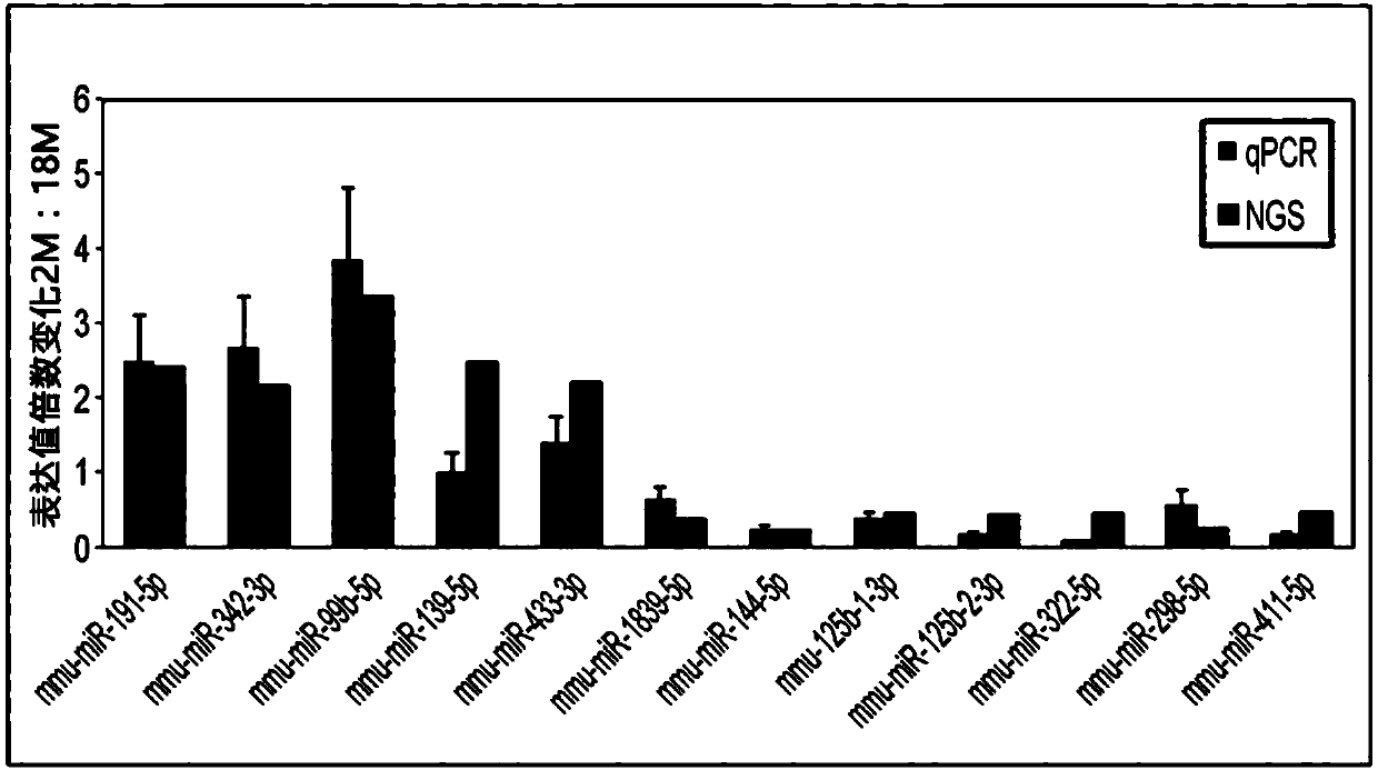 Method for determining decrease in functions of hippocampus by using correlation between micro RNA and NMDA receptor, method for inhibiting decrease in functions, and method for screening for inhibitors of decrease in functions