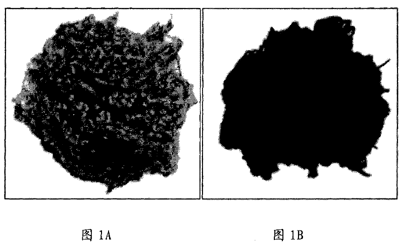 Cationic dye chromophilous copolyester fibre dyeing assistant and dyeing method using same