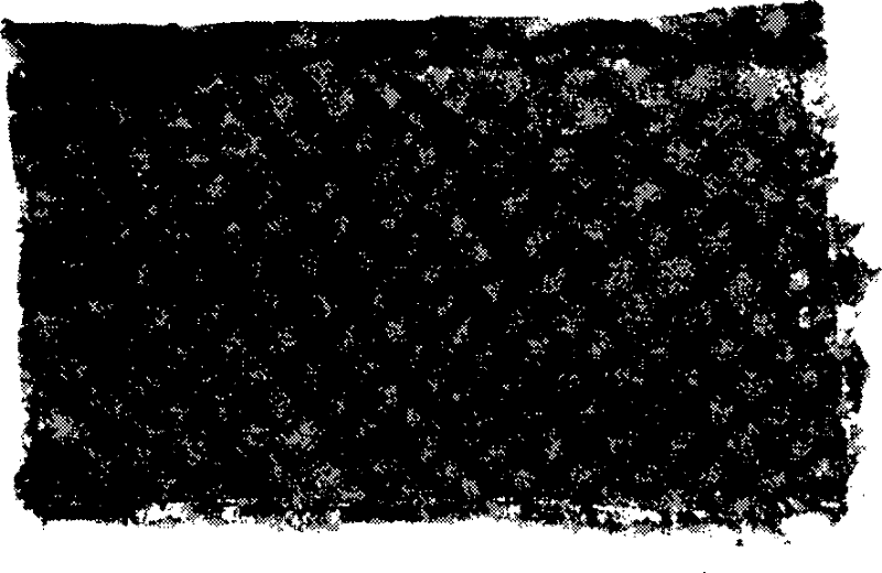 Cationic dye chromophilous copolyester fibre dyeing assistant and dyeing method using same