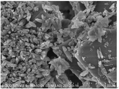 A kind of ferrous phosphate and preparation method thereof, lithium iron phosphate positive electrode active material and preparation method thereof