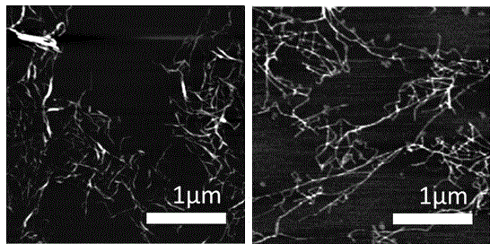 Method for preparing cellulose nanofibers