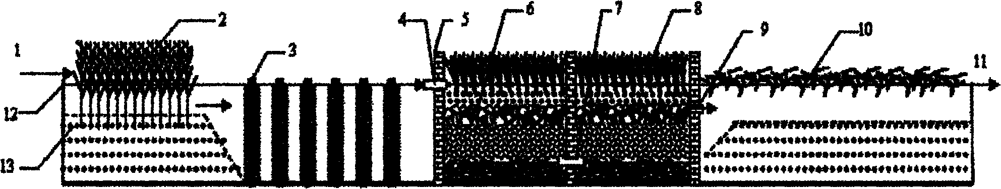 River channel purification system for processing rural domestic sewage