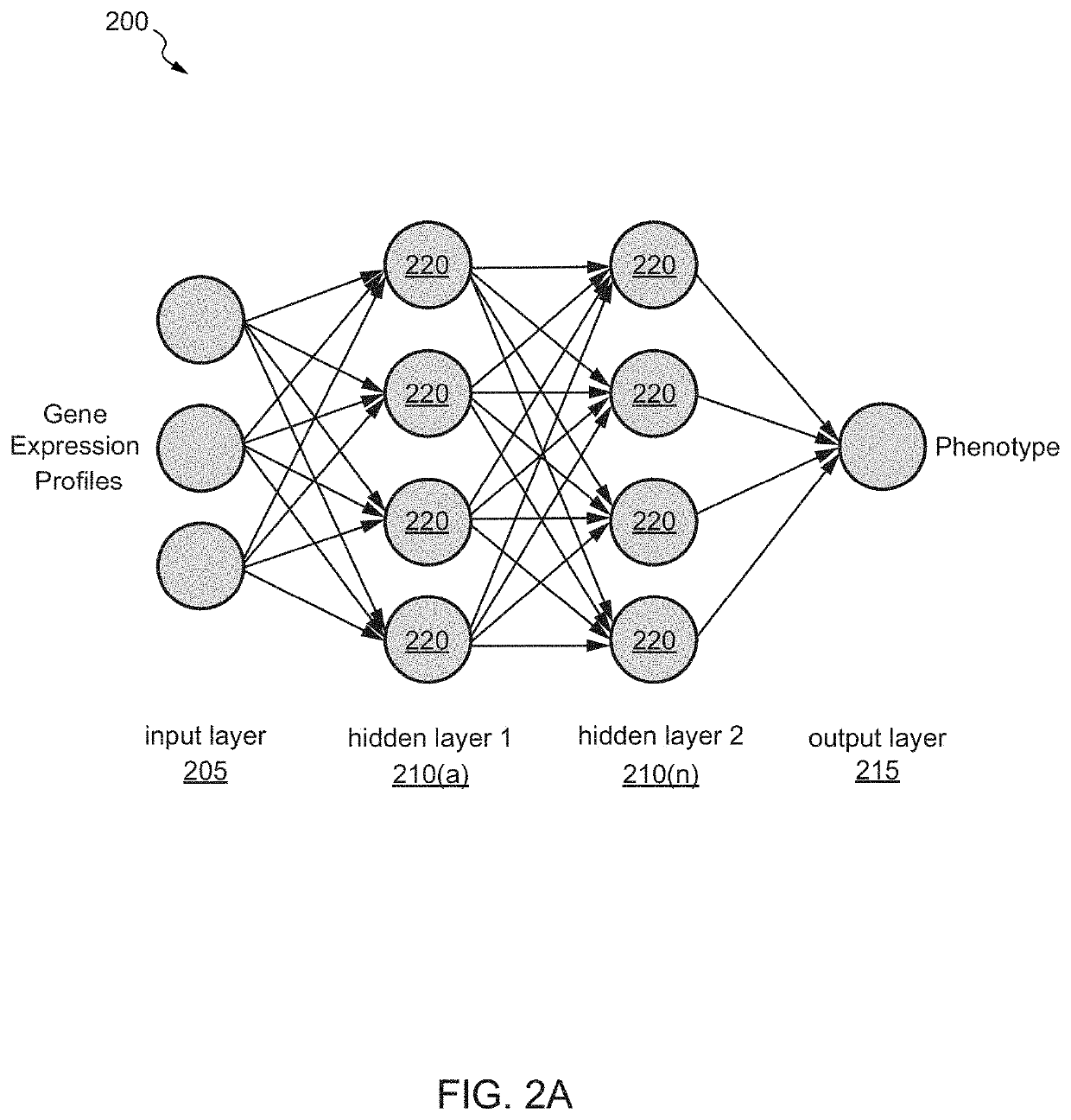 Machine learning driven gene discovery and gene editing in plants