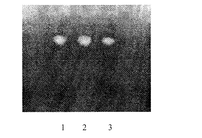 Method for extracting shelled cedar seed oil and daucosterol from shelled cedar seed