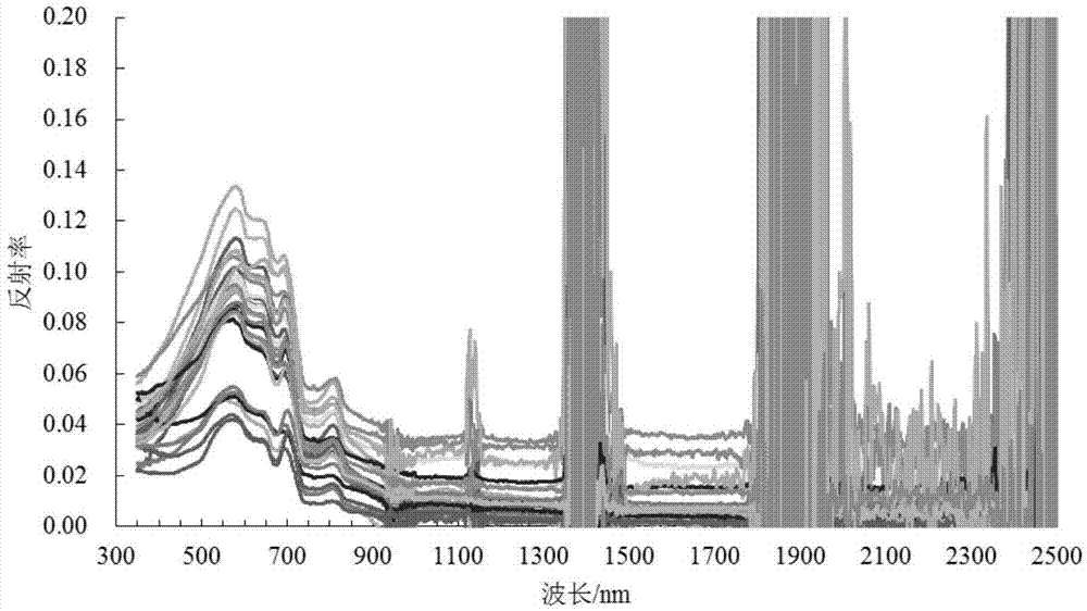 Water body inherent optical quantity inversion method based on backscattering coefficient linear constraint