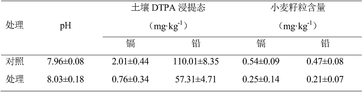 Compound conditioner suitable for heavy metal pollution of northern alkaline soil