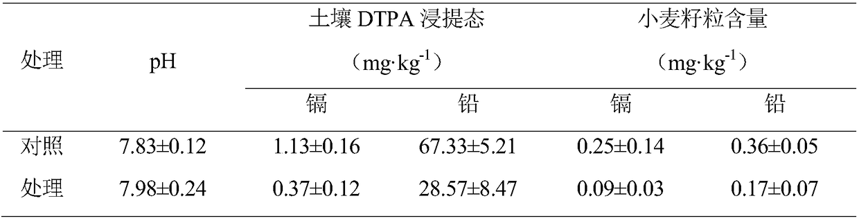 Compound conditioner suitable for heavy metal pollution of northern alkaline soil