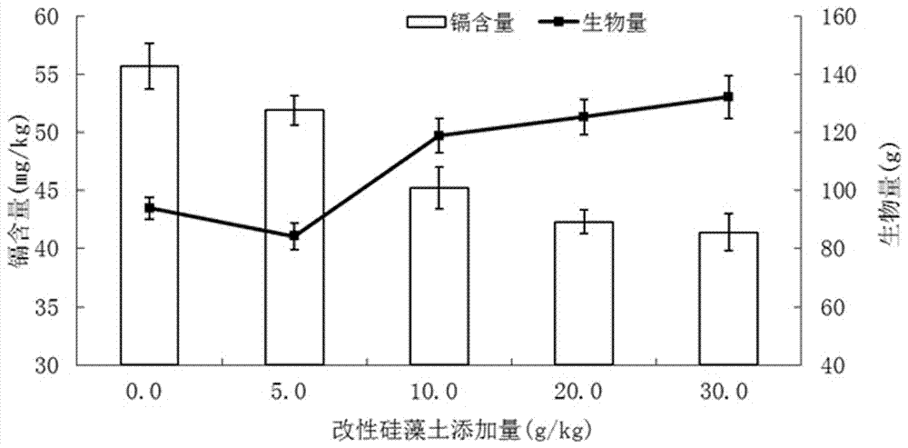 Compound passivator of heavy metal contaminated soil and preparation method and application of compound passivator