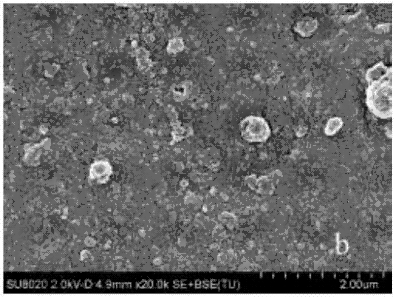 Preparation method of TiO2/cellulose nano-composite film, composite film, and application of composite film