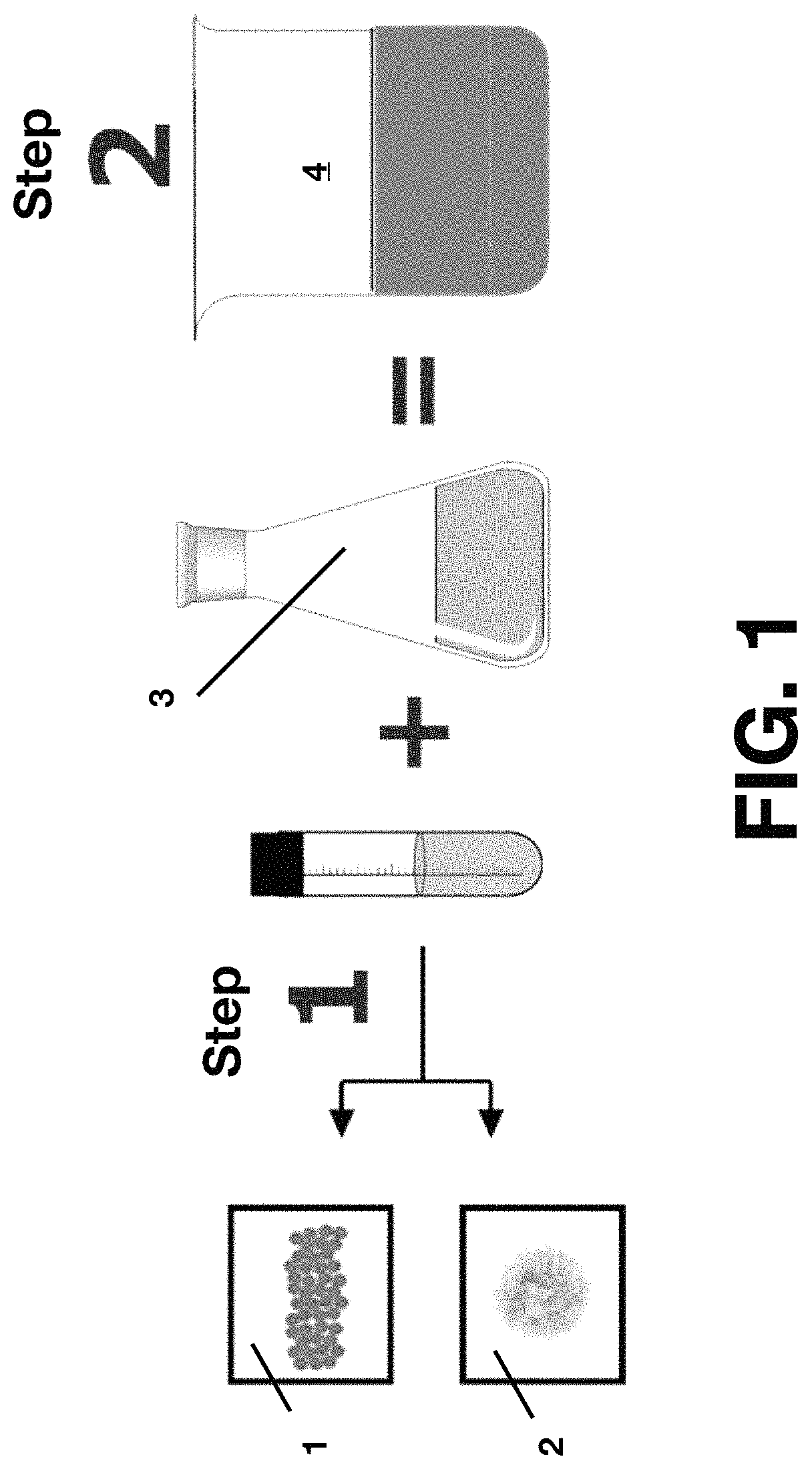 Synthesis of biocomposite alginate-chitosan-magnetite nanoparticle beads for removal of organic persistent contaminants from water systems