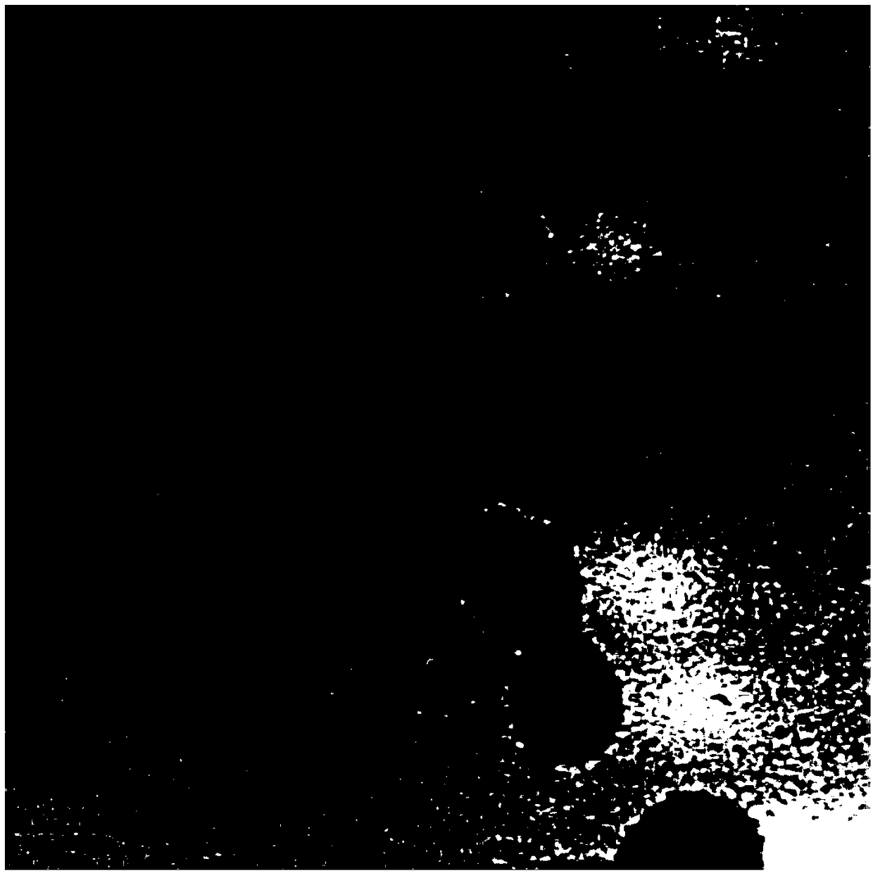 Method for capturing and identifying fetal nucleated red blood cells in a microfluidic chip