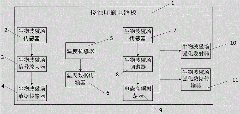 Microcrystal for obtaining constant and alternating human body biomagnetic field electromagnetic signals and data