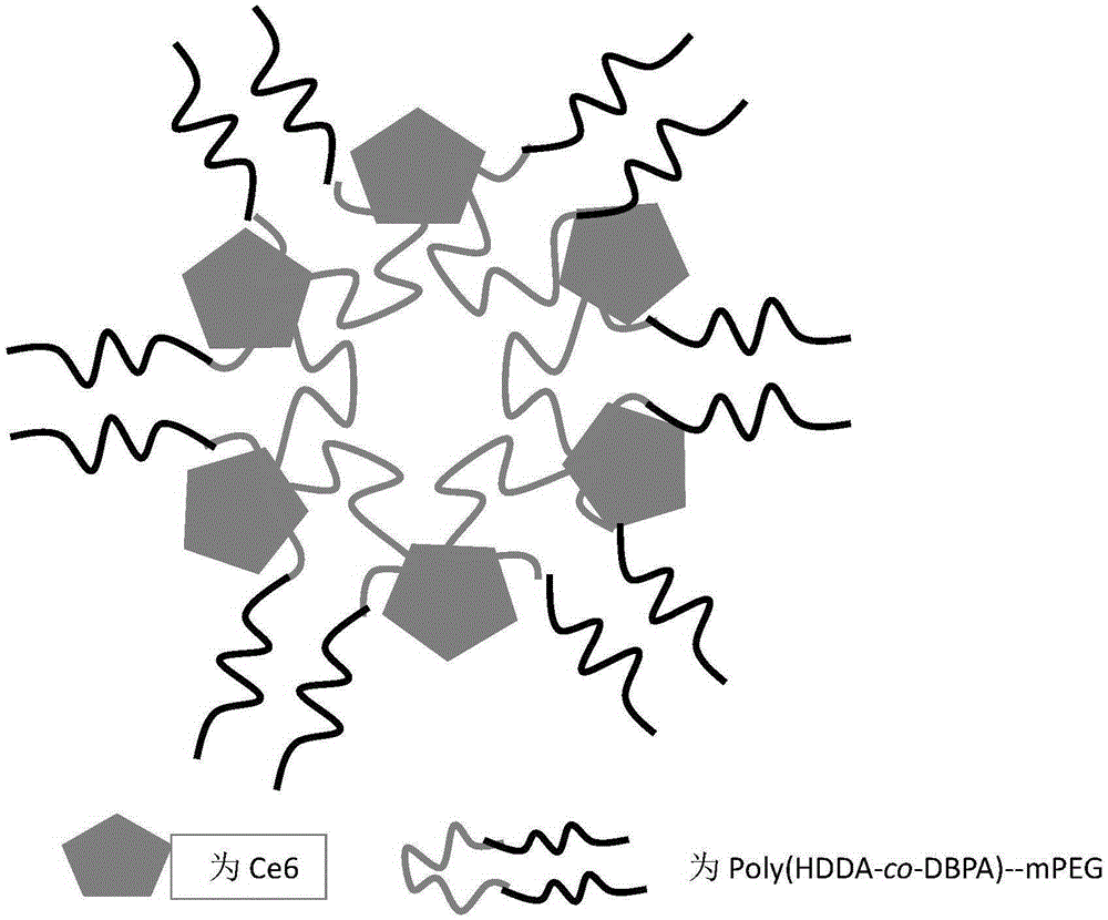 Antibacterial material with pH responsivity and light sensitivity and preparation method thereof