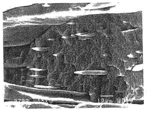 Process for making multiphase polymeric film having a lamellar structure with controlled permeability and/or controlled mechanical properties