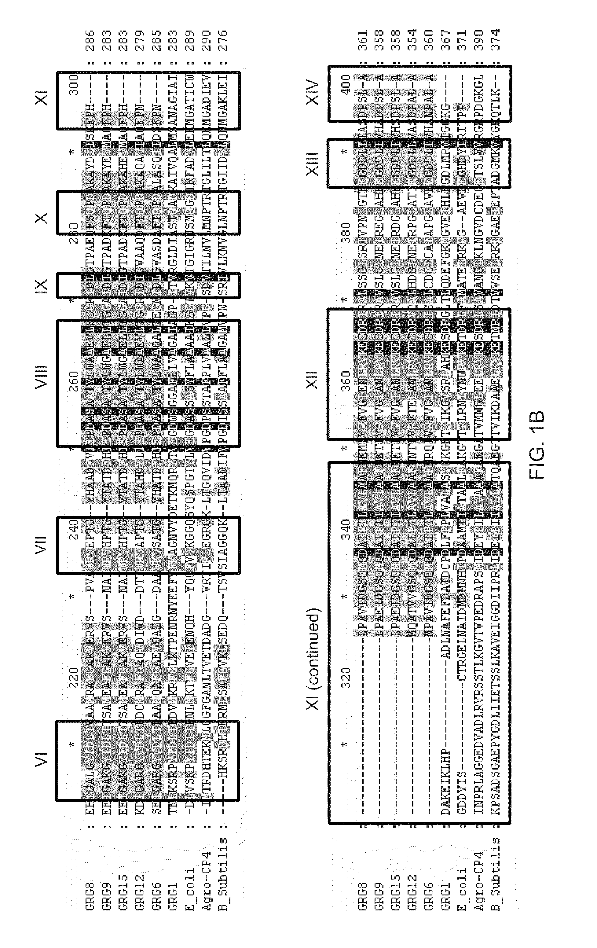 Identification of a new class of epsp synthases