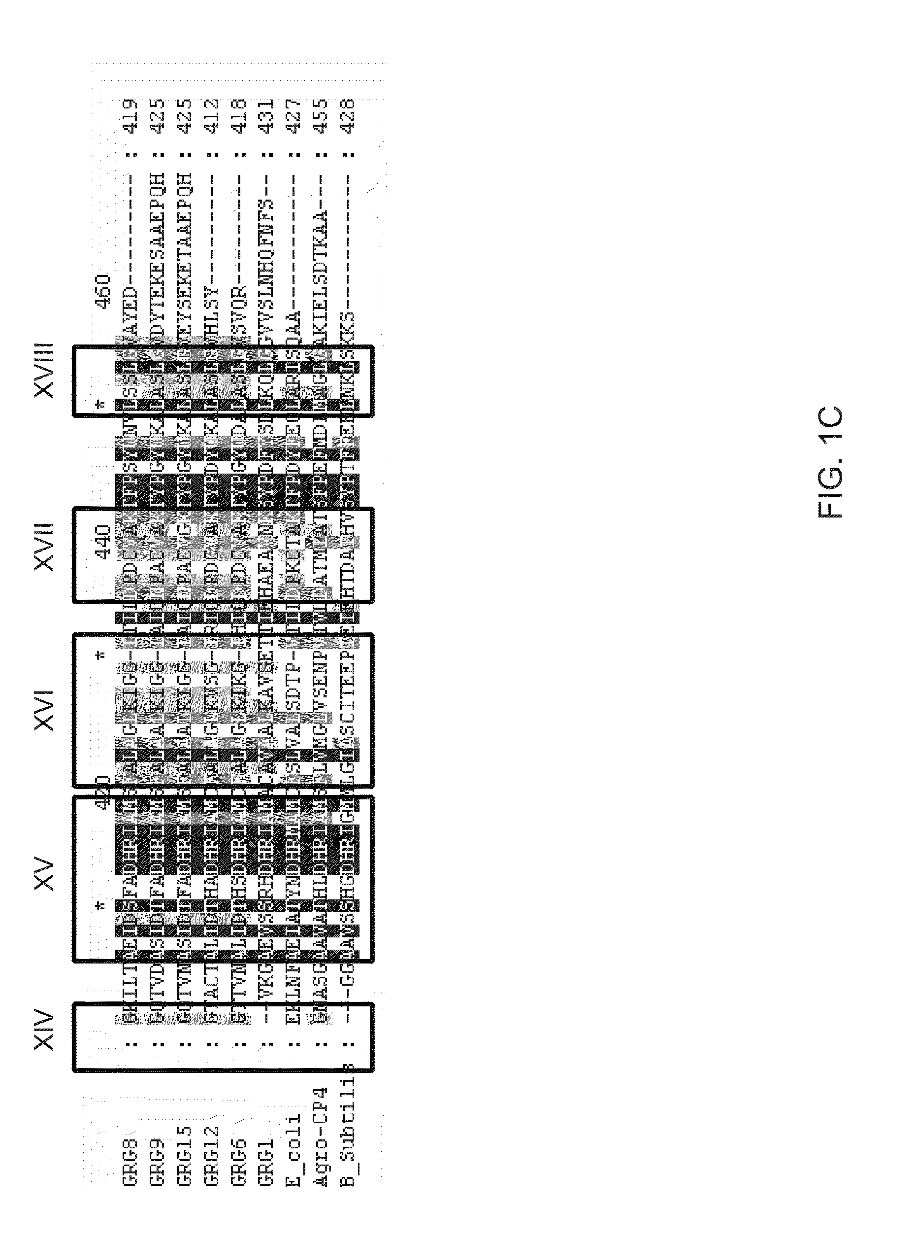 Identification of a new class of epsp synthases