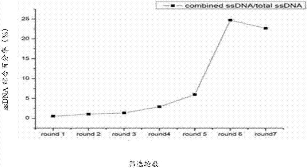 Specific nucleic acid aptamer and application